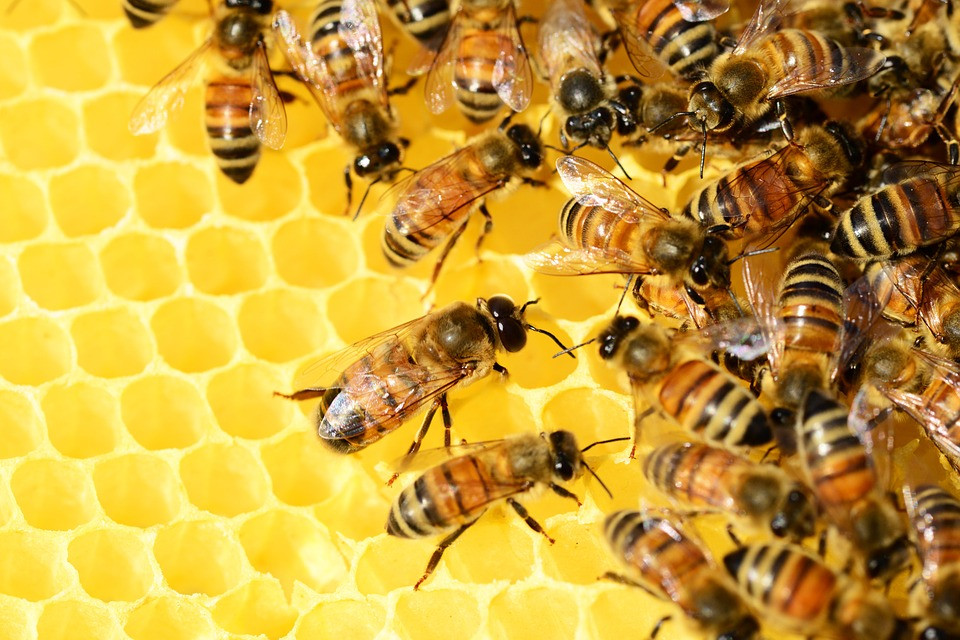 Immagine copertina del consiglio 'Un trattamento reale'